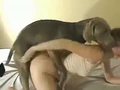 Doggy knows how to make his owner pleased